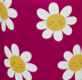 Happy Flowers