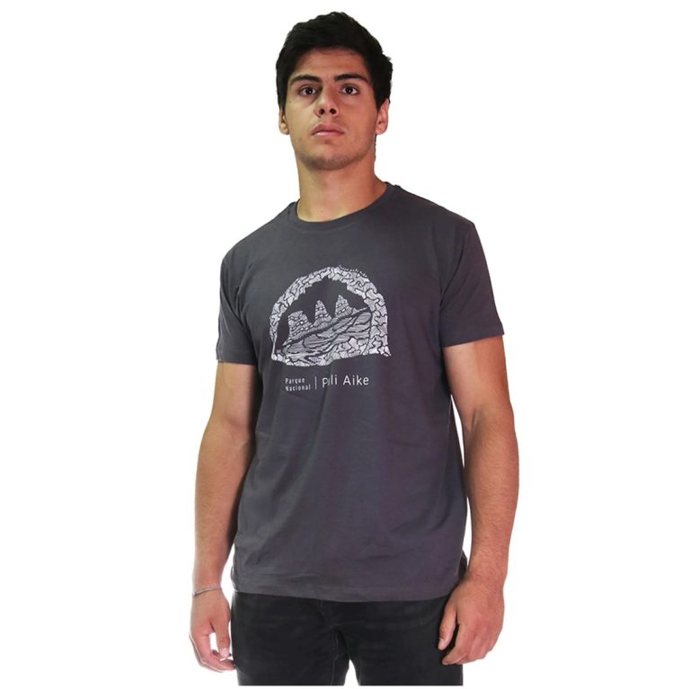 Polera Pali Aike Hombre - Gris