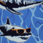 Sharks in Shades