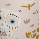 Owlet