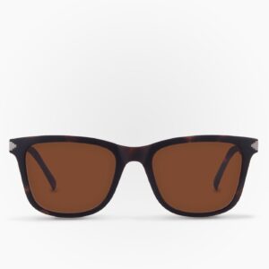 Lentes de Sol Zorro Havana