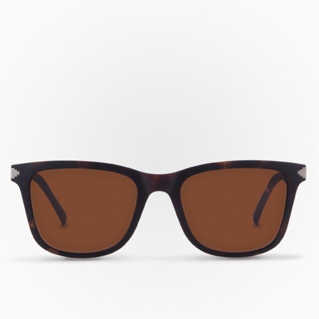 Lentes de Sol Zorro Havana