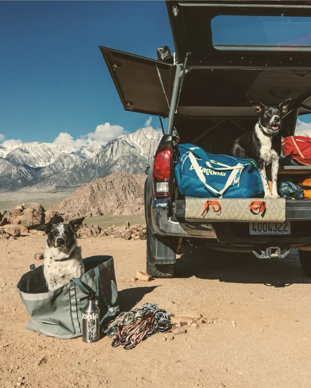 Ya sea un viaje largo, una escapada de fin de semana o simplemente movernos por la ciudad, buscamos funcionalidad y resistencia. En Patagonia, Trelko y Vaude reunimos una selección de productos que cumplen con eso y más.

Los bolsos Black Hole de Patagonia son un clásico por una razón: impermeables, duraderas y espaciosas, están hechas para resistir las condiciones más extremas sin perder su estética simple y funcional.

La mochila Kuna de Trelko es perfecta para quienes prefieren moverse liviano, con lo justo y necesario. También, nuestros neceseres son ideales para organizar tus accesorios de uso personal, ya sea que estés viajando o en tu rutina diaria.

La mochila City Go de Vaude es ideal para moverte cómodamente. Urbana, versátil y hecha con materiales reciclados, combina espacio, ergonomía y funcionalidad para acompañarte cada día.

Encuentra estos productos en limitesur.cl 📲 y en tienda📍